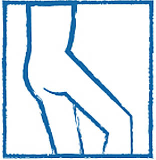 Bekken